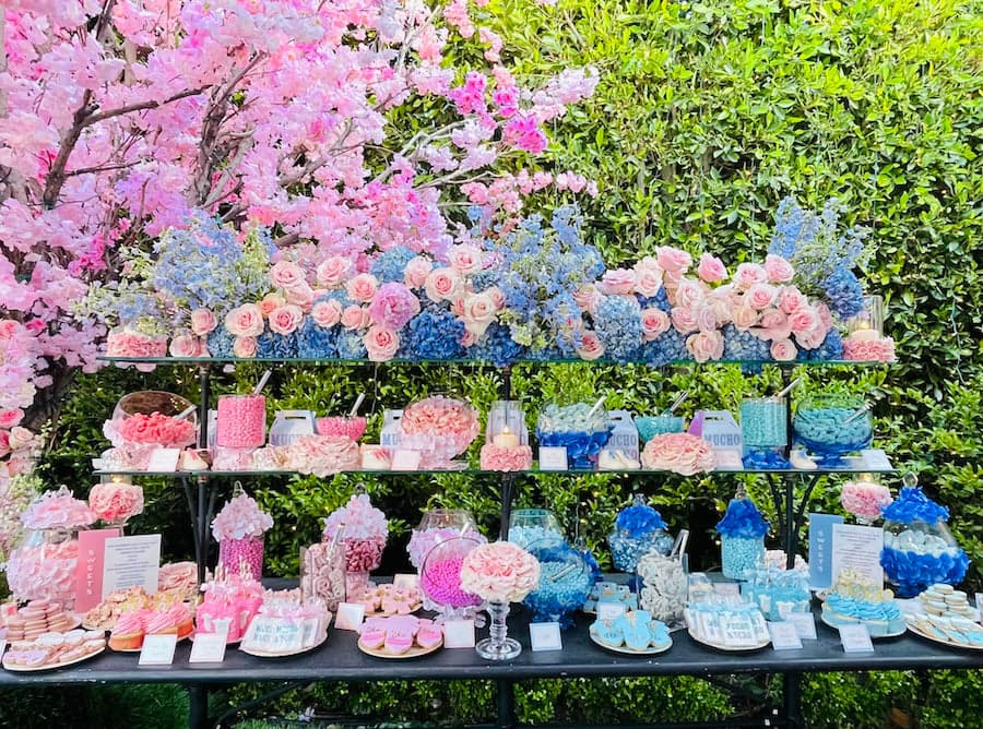 Baby Showers — Gender Reveal Bar